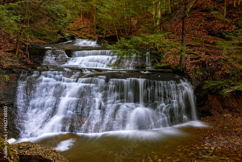 waterfall in the forest