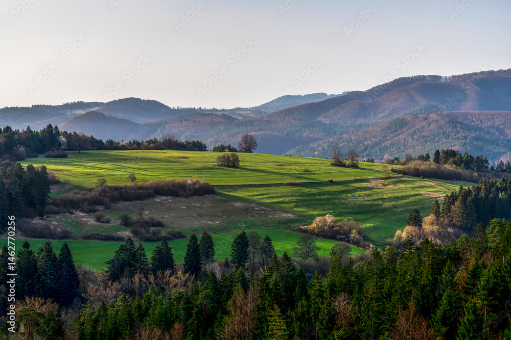 Naklejka premium mountain landscape in the morning in summer
