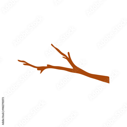 Dry tree branches vector illustration 