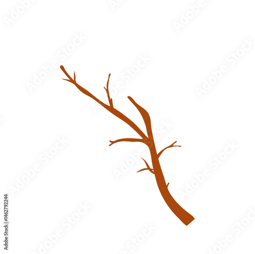 Dry tree branches vector illustration 