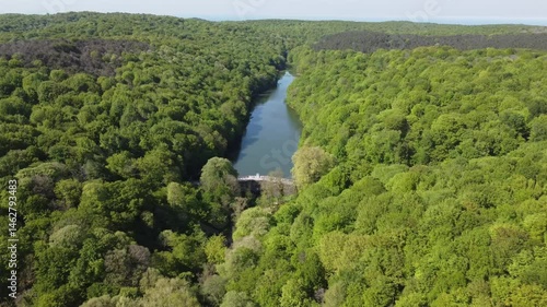 Belgrad Ormanı photo