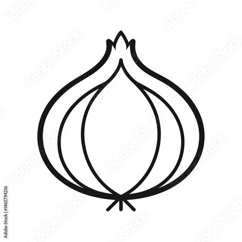 red onion vector illustration
