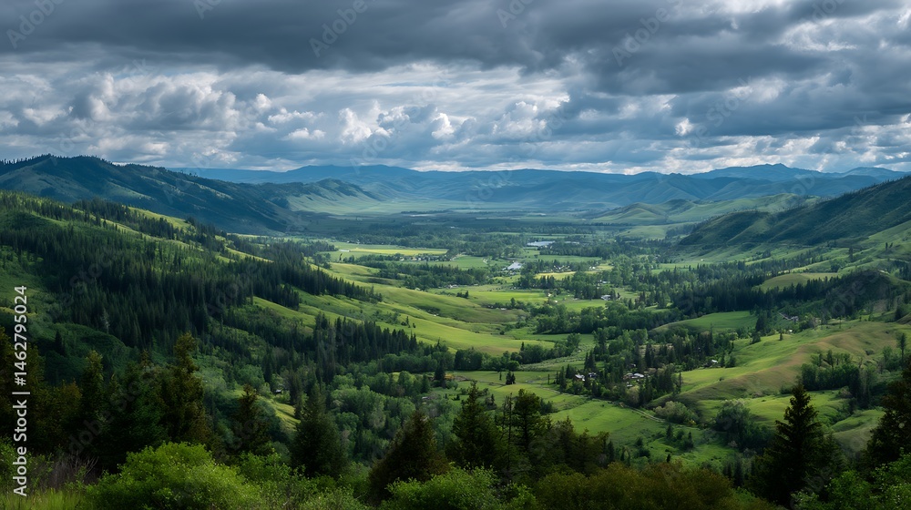 Valley filled with trees, sky clouded Valley filled with trees, sky clouded
