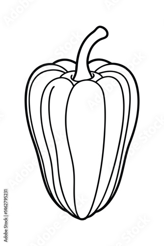 vector illustration of pepper