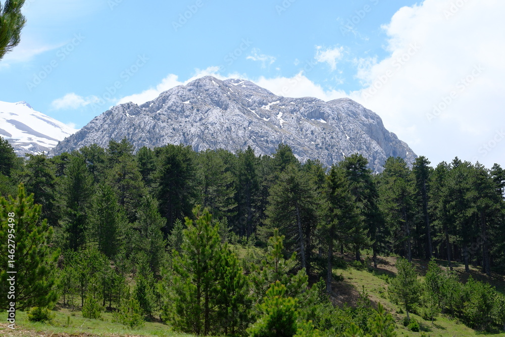 Fototapeta premium Melikler Plateau and Dedegol Mountain landscape photo