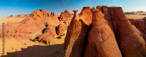 Obraz na płótnie Desert erosion formation in Ennedi plateu in Chad. Ennedi plateu desert landscape w salonie