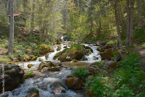 Pınargozu cave and stream photo