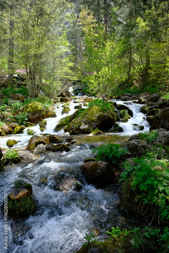 Pınargozu cave and stream photo