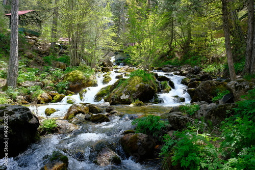 Pınargozu cave and stream photo