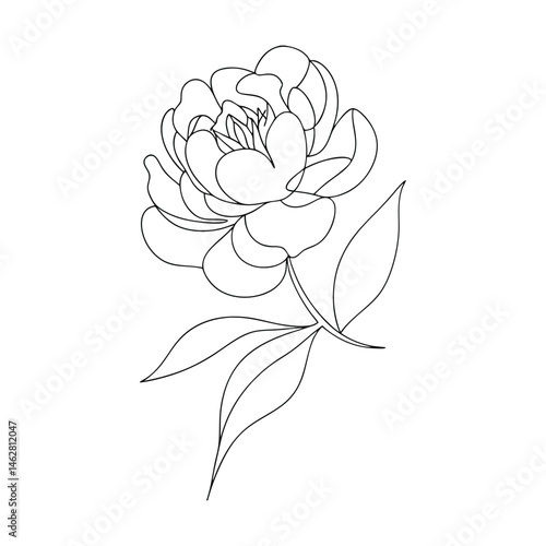Delicate and elegant continuous line drawing of a blossoming peony flower with detailed petals and leaves on a white background.