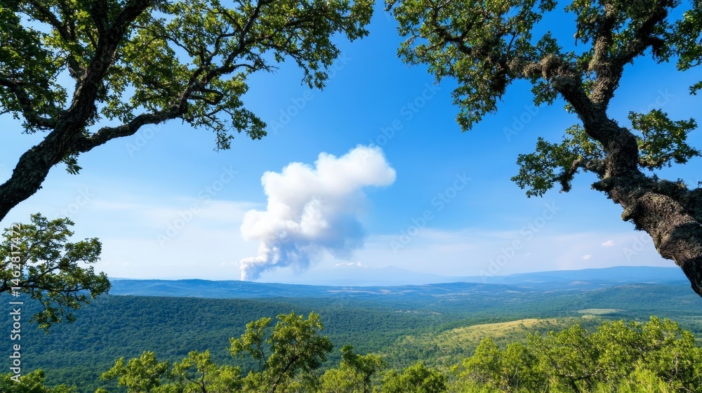 Obraz premium Smoke Plume Over Horizon Through Trees - A panoramic view of a vast forest landscape, framed by two majestic trees. A plume of smoke rises on the horizon, symbolizing change, distance, mystery