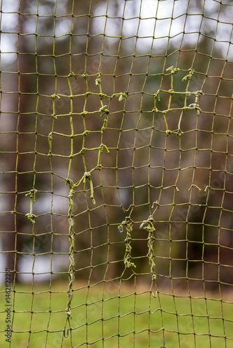 Torn soccer net with frayed knots outdoors.