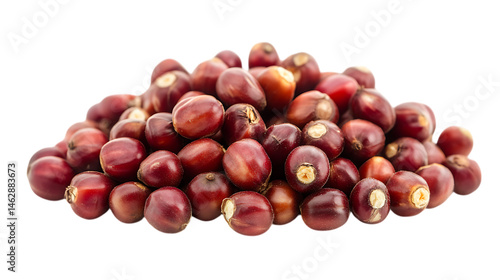 Pile of Sorghum Grains on Clean Background, Golden Natural Color, High Detail