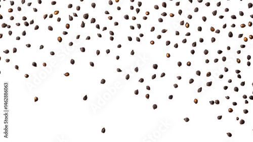A scattering of poppy seeds centered on transparent background