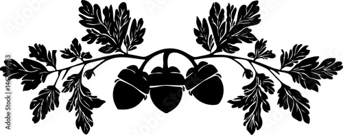 illustration of acorns and oak leaves