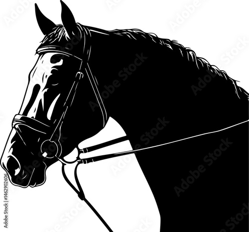 illustration of horse head with bridle