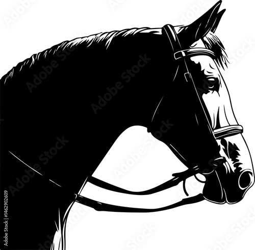 illustration of horse head with bridle
