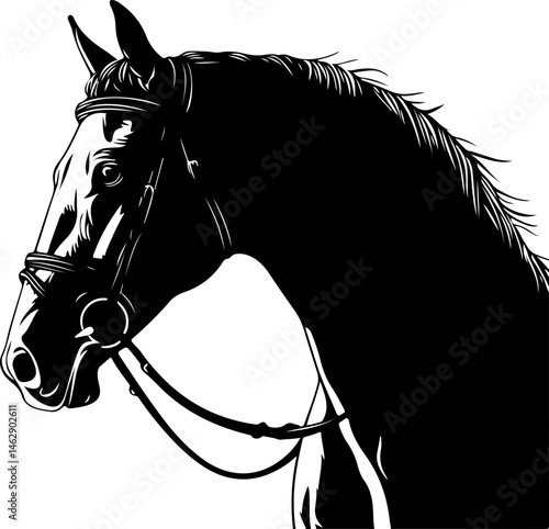 illustration of horse head with bridle
