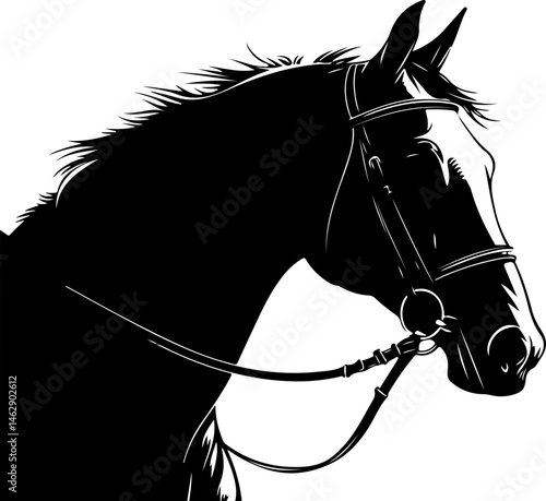 illustration of horse head with bridle
