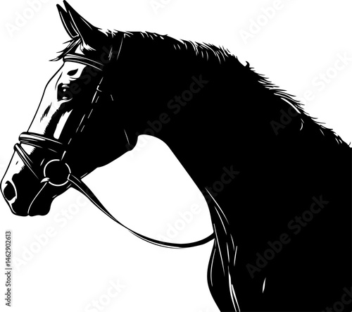 illustration of horse head with bridle