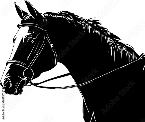 illustration of horse head with bridle