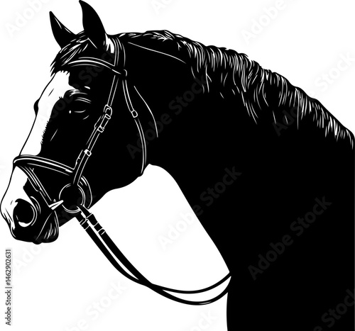 illustration of horse head with bridle