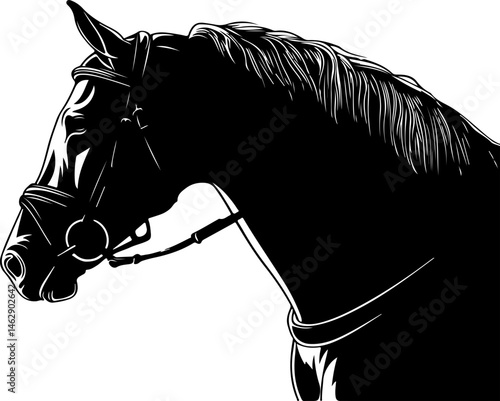 illustration of horse head with bridle