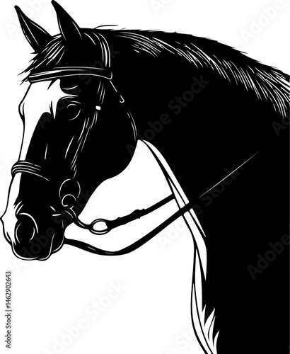 illustration of horse head with bridle