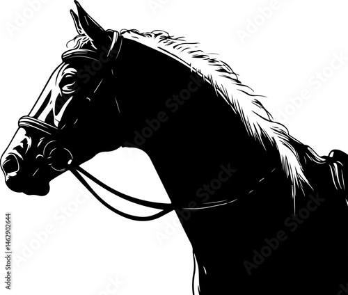 illustration of horse head with bridle