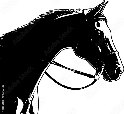 illustration of horse head with bridle