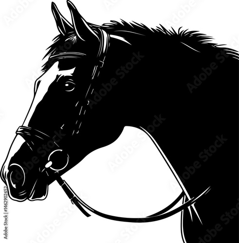 illustration of horse head with bridle