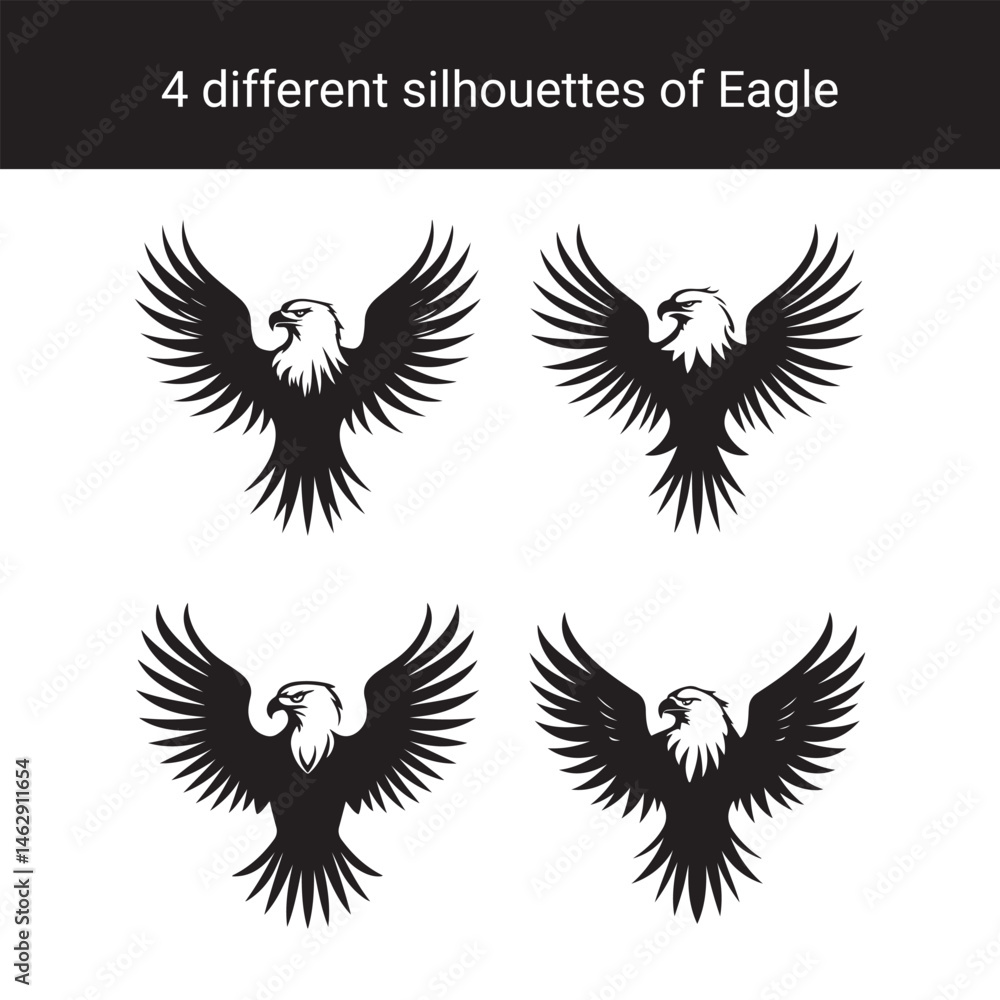 Obraz premium Set of Eagle Silhouettes Vector Illustrations of Eagles with Spread Wings