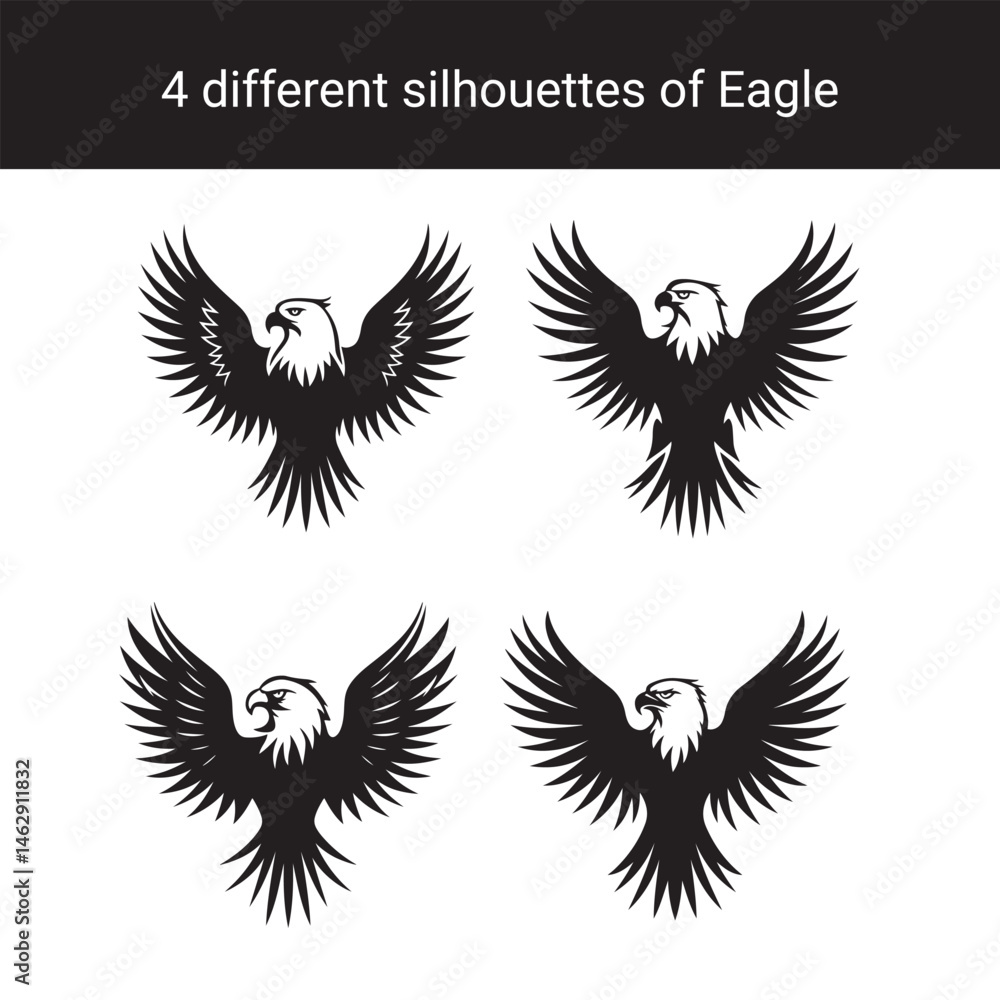 Obraz premium Set of Eagle Silhouettes Vector Illustrations of Eagles with Spread Wings