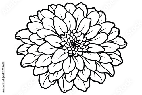 Detailed monochrome drawing showcases a captivating dahlia flower with an intricate layered petal arrangement