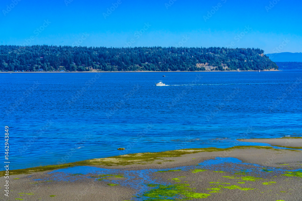 Low Tide Flats Sea Wall Park Yacht Puget Sound Langley Washington