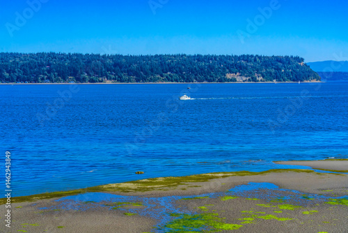 Obraz na płótnie Low Tide Flats Sea Wall Park Yacht Puget Sound Langley Washington w salonie