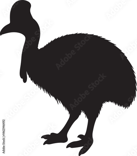 Cassowary Silhouette Vector Illustration