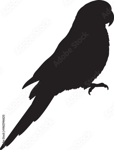 Eastern Rosella Silhouette Vector Illustration