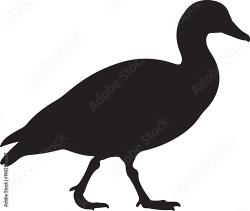 Egyptian Goose Silhouette Vector Illustration