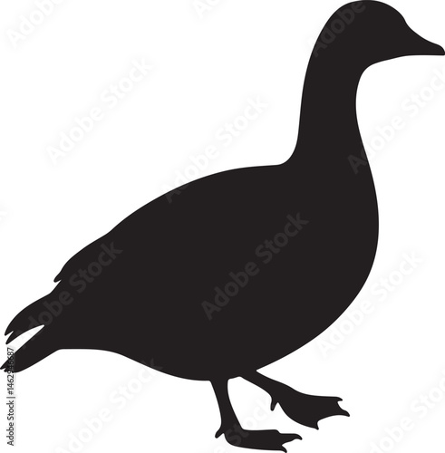 Emperor Goose Silhouette Vector Illustration