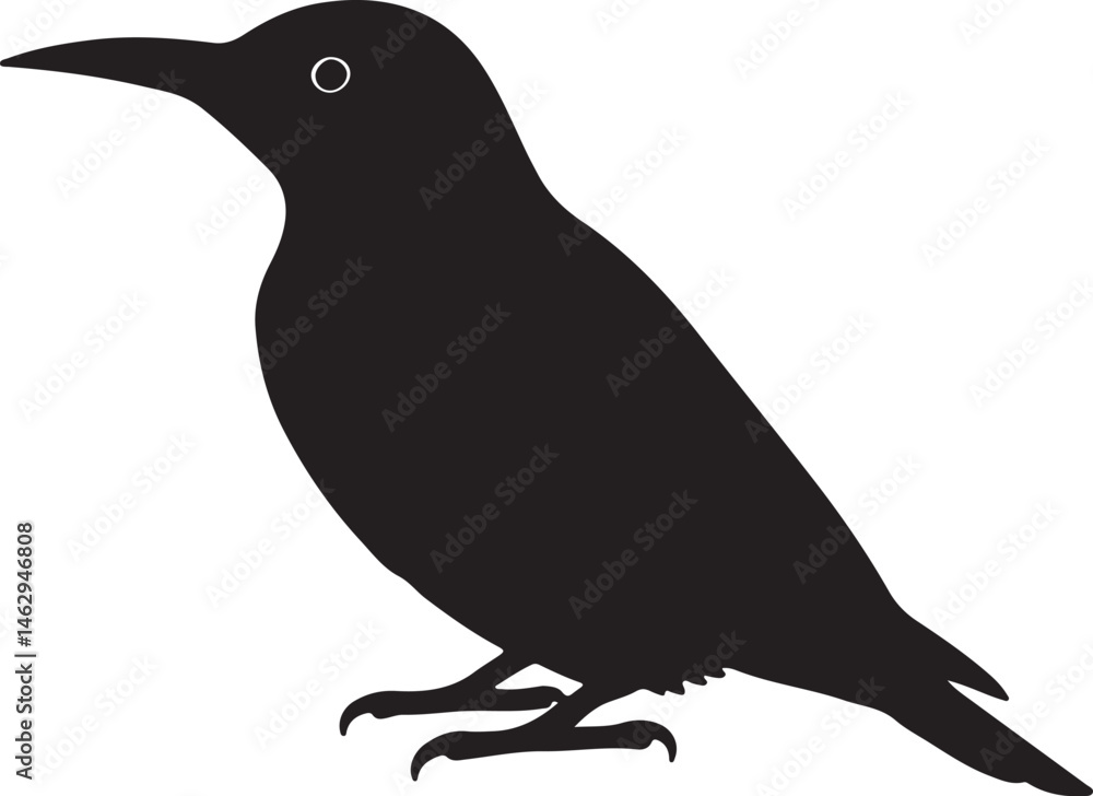 Fototapeta premium Flicker woodpecker vector silhouette on white background