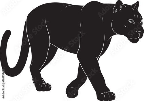 Florida Panther vector silhouette on white background