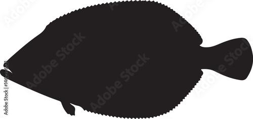 Flounder flatfish vector silhouette on white background
