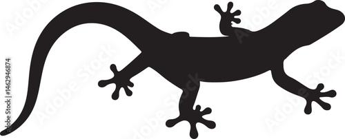 Gecko lizard vector silhouette on white background