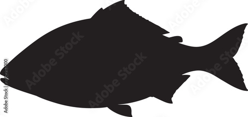 Gilt-head Bream fish vector silhouette on white background