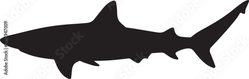 Hasselt’s Bamboo Shark vector silhouette on white background