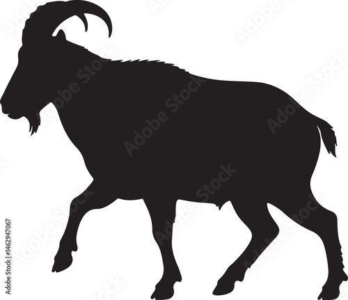 Himalayan Tahr vector silhouette on white background