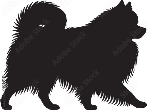 Japanese Spitz dog vector silhouette on white background