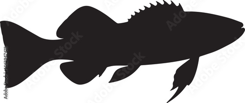 Kelp Greenling fish vector silhouette on white background