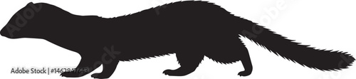 Kilombero Weasel vector silhouette on white background